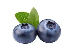 Arandanos de Ajo Negro