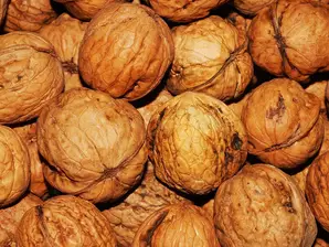 Nuez Cascara de Al Grano
