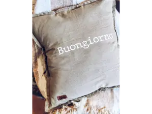 Almohadon buongiorno 100% tusor de Alcuza Minorista