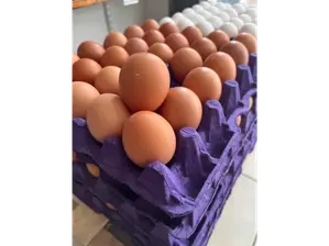 Maple de huevos chicos N4 de Almacén de energía