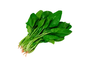 Espinaca de Almacén de frutos