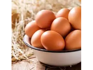 Huevos AGROECOLÓGICOS x6 de ALMACEN COOPERATIVO