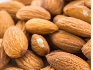 ALMENDRAS Guara de Alquimia Distribuidora Saludable