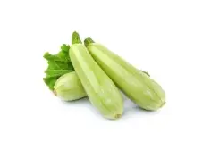 ZUCHINI de ARCOÍRIS ONLINE