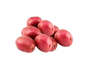 PAPA ROJA de ARCOÍRIS ONLINE
