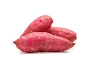 BATATA ROJA de ARCOÍRIS ONLINE