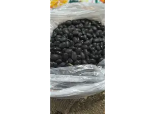 Poroto Negro de ASDHogar