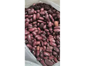 Poroto Nica de ASDHogar