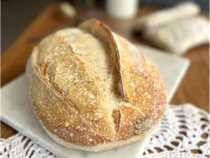 Pan de campo de Bachi