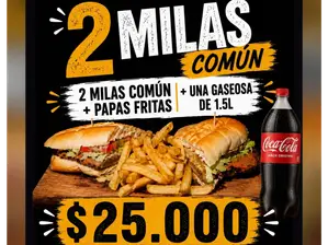 COMBO DE BURGER DOBLE + PAPAS + GASEOSA de BLEND BURGUER