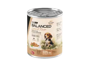 Natural Recipe Filetes Carne Perro Cachorro 340 gr de BravoPet
