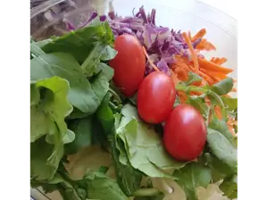 Ensalada con Atun de Buona Vita