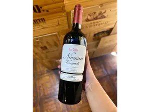 Pack Reunión (10-12 personas) de Burrata | La Vinoteca