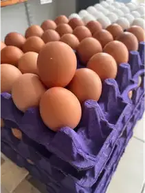 Producto de Almacén de energía