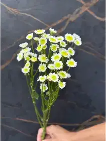 Producto de AMARANTA