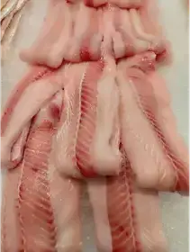 Producto de Barracuda Fish Market Gauss