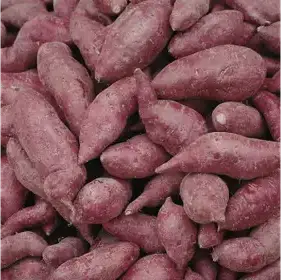 Producto de biOrg