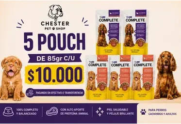 Producto de CHESTERPETSHOP