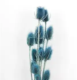 Producto de Color Florido
