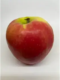 Producto de Cosecha Almacén Natural