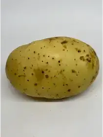 Producto de Cosecha Almacén Natural