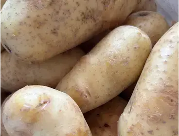Producto de Costa Almacén