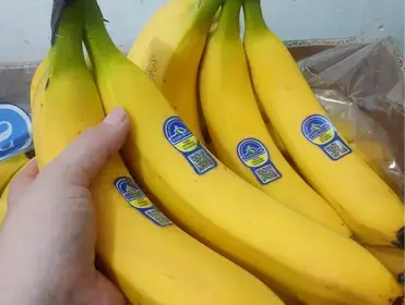 Producto de DOÑA PAPA