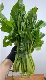 Producto de DOÑA PAPA
