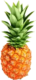 Producto de El Oasis Frutas y Verduras