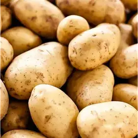 Producto de El Santafesino Verduleria