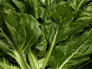 Producto de El Santafesino Verduleria