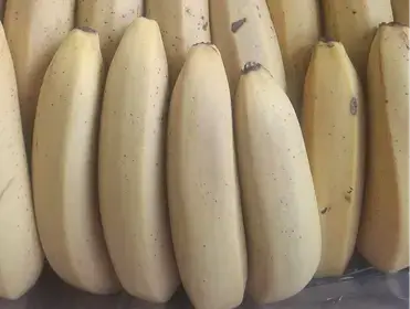 Producto de El Viejo Roble