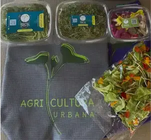 Producto de FRACTAL AGRICULTURA URBANA