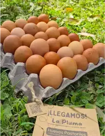 Producto de Granja La Pluma