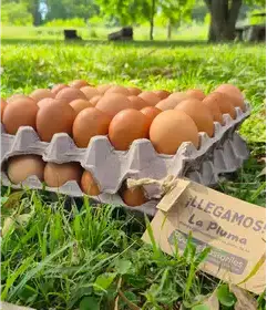 Producto de Granja La Pluma
