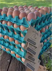 Producto de Granja La Pluma