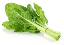 Producto de Grinverdu