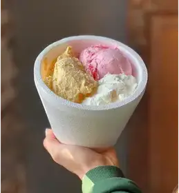 Producto de Heladeria La Aldeana