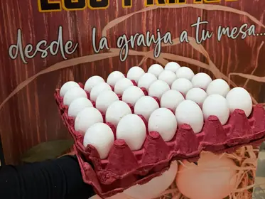 Producto de HUEVERIA LOS PRIMOS