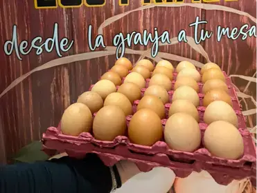 Producto de HUEVERIA LOS PRIMOS