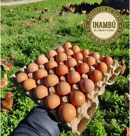Producto de Inambú/Productos de campo.