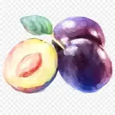 Producto de LA PROVEEDURIA