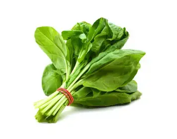Producto de LODETITOVERDU