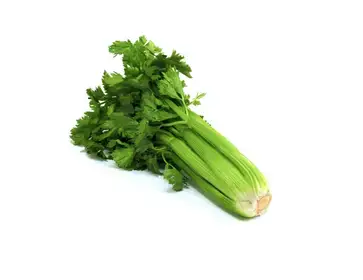 Producto de LODETITOVERDU