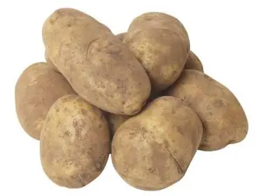 Producto de Los Gringos - Solo calidad