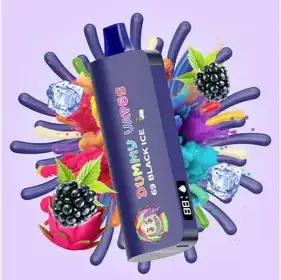 Producto de MR VAPE