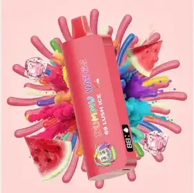 Producto de MR VAPE