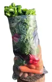 Producto de Nodo Movida Ciudad