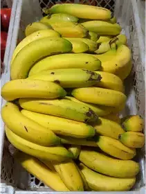 Producto de Origen verde