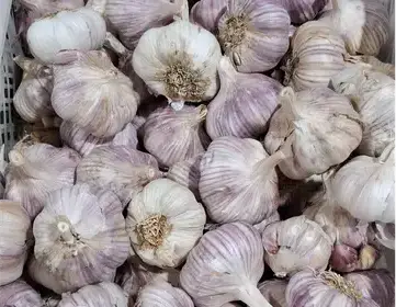 Producto de Origen verde